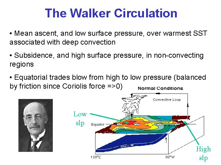 The Walker Circulation • Mean ascent, and low surface pressure, over warmest SST associated