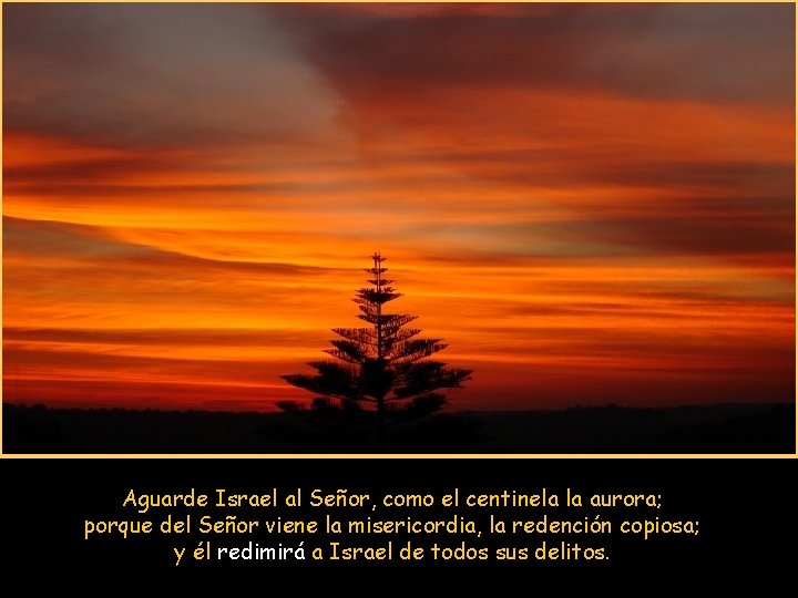 Aguarde Israel al Señor, como el centinela la aurora; porque del Señor viene la