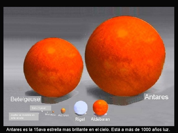 Sol – 1 pixel Jupiter es invisible en esta escala Antares es la 15