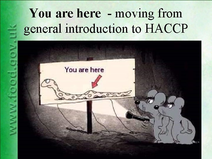 You are here - moving from general introduction to HACCP You are here - moving from general introduction to HACCP
