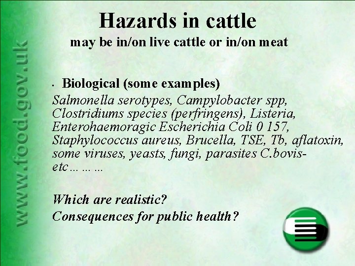 Hazards in cattle may be in/on live cattle or in/on meat Biological (some examples) Hazards in cattle may be in/on live cattle or in/on meat Biological (some examples)