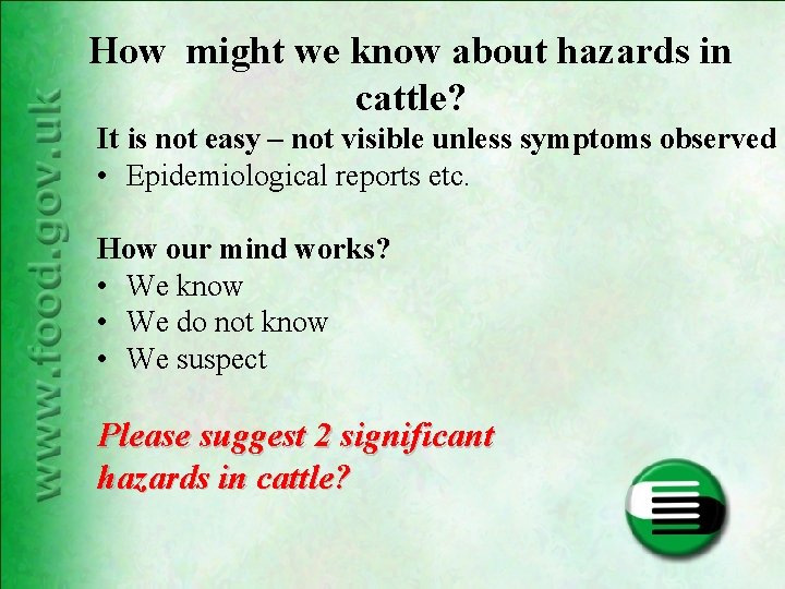 How might we know about hazards in cattle? It is not easy – not How might we know about hazards in cattle? It is not easy – not