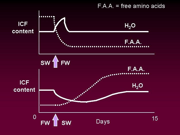 F. A. A. = free amino acids ICF content H 2 O F. A.