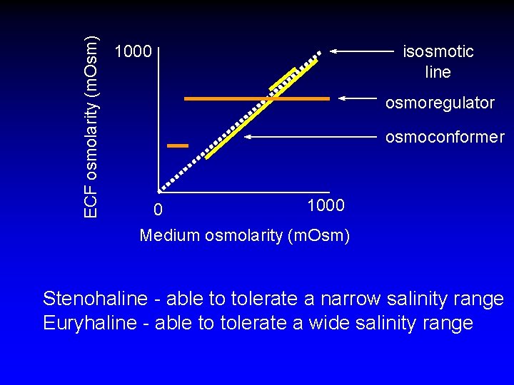 ECF osmolarity (m. Osm) 1000 isosmotic line osmoregulator osmoconformer 1000 0 Medium osmolarity (m.