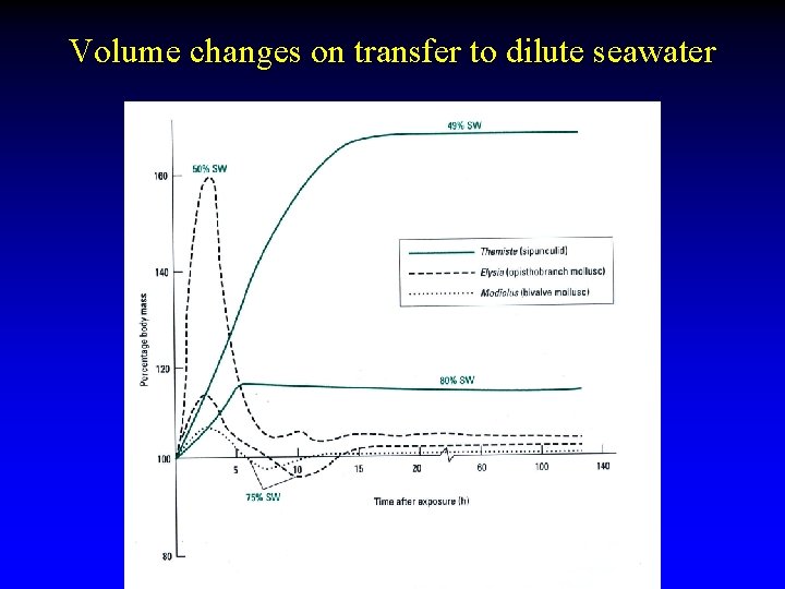 Volume changes on transfer to dilute seawater 