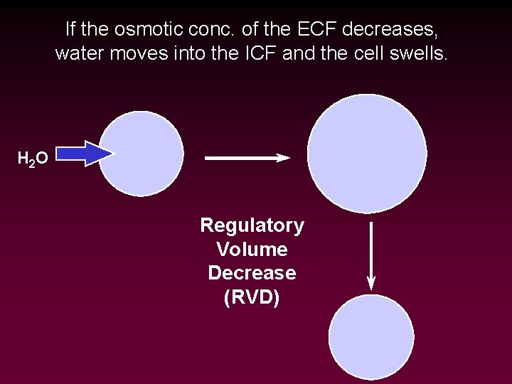 If the osmotic conc. of the ECF decreases, water moves into the ICF and