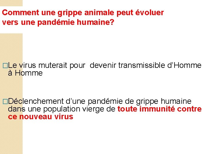 Comment une grippe animale peut évoluer vers une pandémie humaine? �Le virus muterait pour