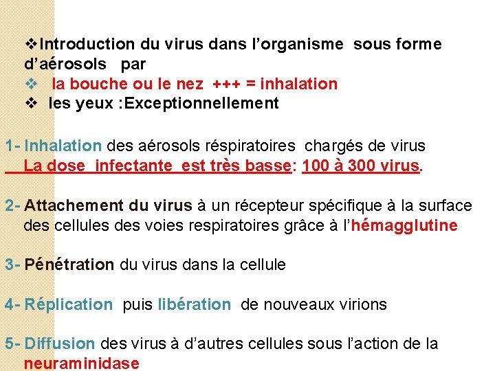 v. Introduction du virus dans l’organisme sous forme d’aérosols par v la bouche ou