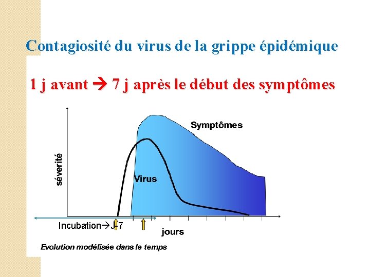 Contagiosité du virus de la grippe épidémique 1 j avant 7 j après le