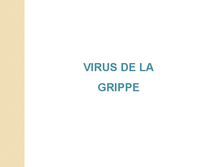 VIRUS DE LA GRIPPE 