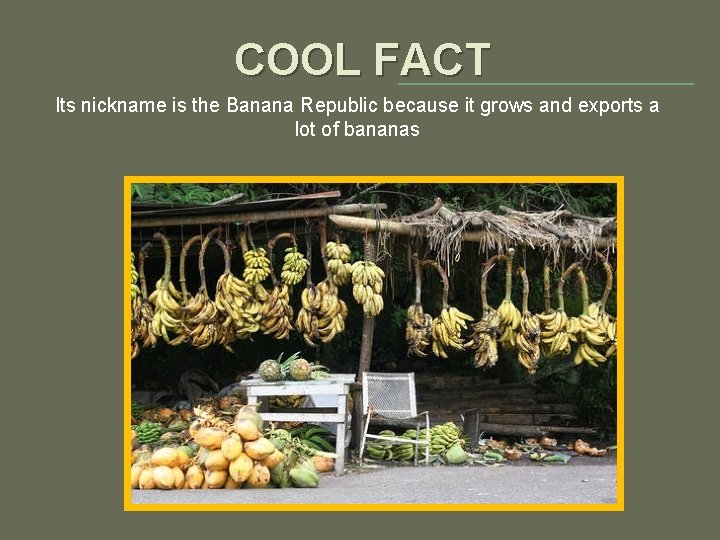 COOL FACT Its nickname is the Banana Republic because it grows and exports a