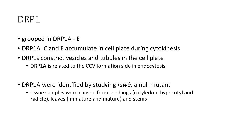 DRP 1 • grouped in DRP 1 A - E • DRP 1 A, DRP 1 • grouped in DRP 1 A - E • DRP 1 A,