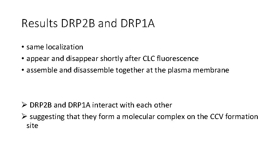 Results DRP 2 B and DRP 1 A • same localization • appear and Results DRP 2 B and DRP 1 A • same localization • appear and