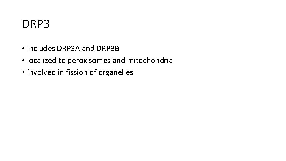DRP 3 • includes DRP 3 A and DRP 3 B • localized to DRP 3 • includes DRP 3 A and DRP 3 B • localized to
