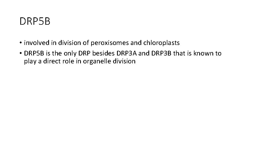 DRP 5 B • involved in division of peroxisomes and chloroplasts • DRP 5 DRP 5 B • involved in division of peroxisomes and chloroplasts • DRP 5