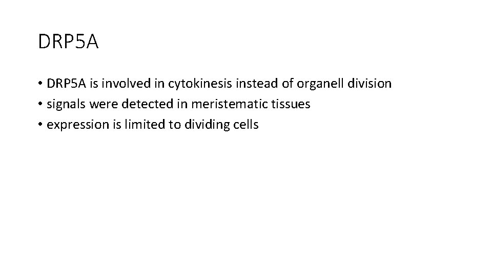 DRP 5 A • DRP 5 A is involved in cytokinesis instead of organell DRP 5 A • DRP 5 A is involved in cytokinesis instead of organell