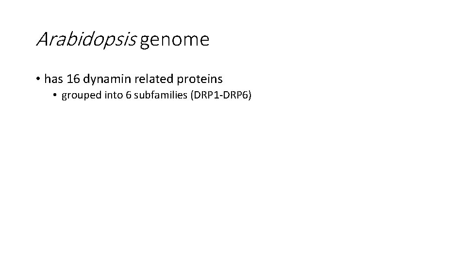 Arabidopsis genome • has 16 dynamin related proteins • grouped into 6 subfamilies (DRP Arabidopsis genome • has 16 dynamin related proteins • grouped into 6 subfamilies (DRP