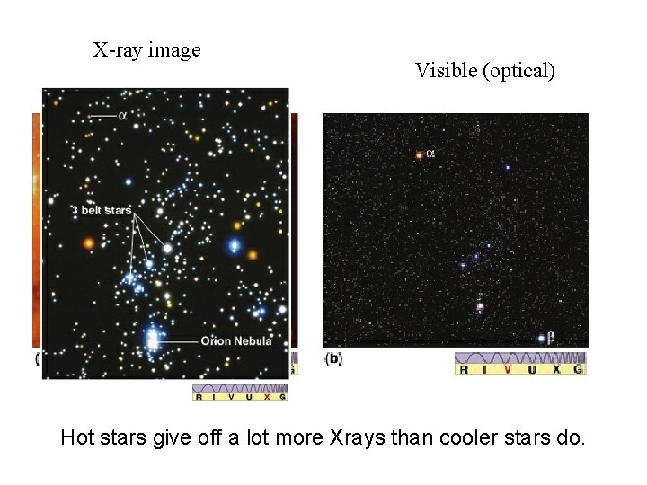 X-ray image Visible (optical) Hot stars give off a lot more Xrays than cooler
