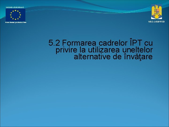 UNIUNEA EUROPEANĂ Proiect finanţat prin fonduri Phare MECI–CNDIPT/UIP 5. 2 Formarea cadrelor ÎPT cu