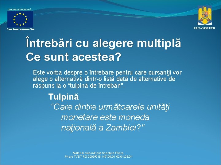 UNIUNEA EUROPEANĂ MECI–CNDIPT/UIP Proiect finanţat prin fonduri Phare Întrebări cu alegere multiplă Ce sunt