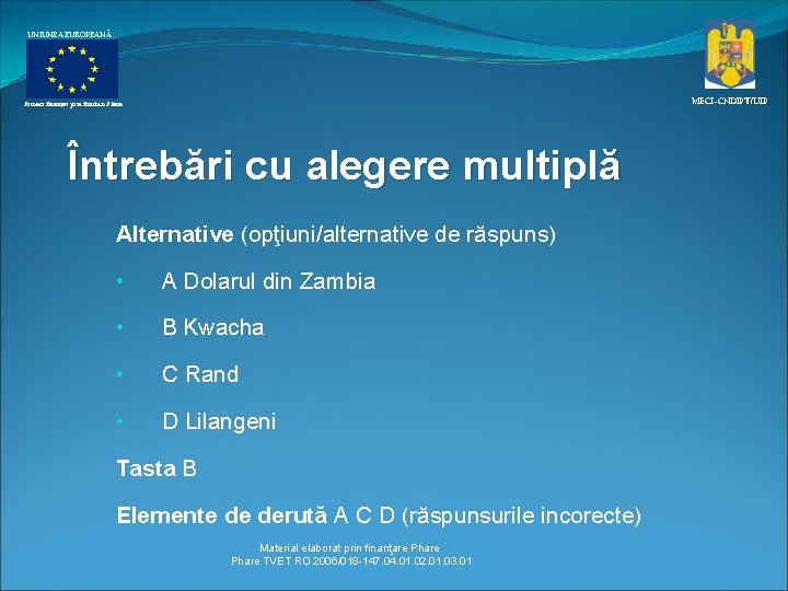 UNIUNEA EUROPEANĂ MECI–CNDIPT/UIP Proiect finanţat prin fonduri Phare Întrebări cu alegere multiplă Alternative (opţiuni/alternative