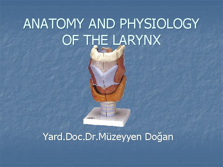 ANATOMY AND PHYSIOLOGY OF THE LARYNX Yard. Doc. Dr. Müzeyyen Doğan 