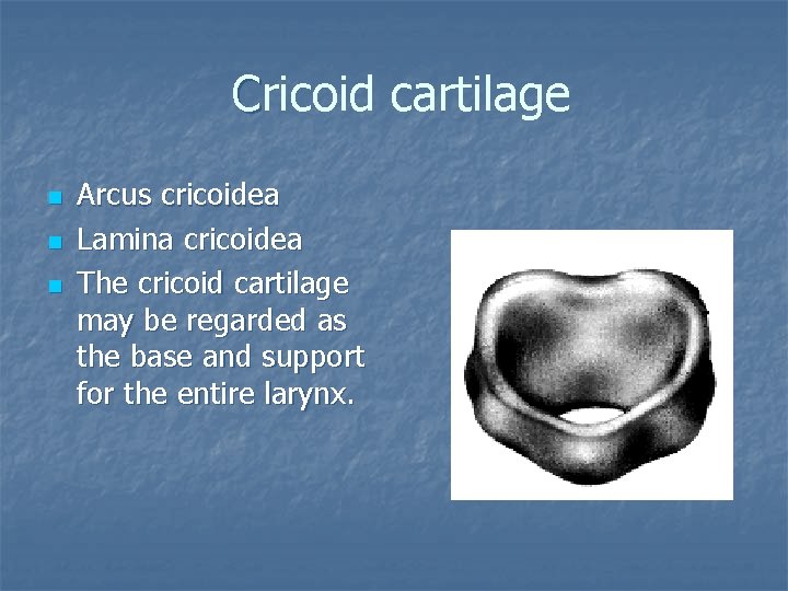 Cricoid cartilage n n n Arcus cricoidea Lamina cricoidea The cricoid cartilage may be