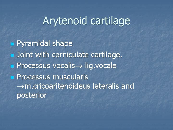 Arytenoid cartilage n n Pyramidal shape Joint with corniculate cartilage. Processus vocalis lig. vocale