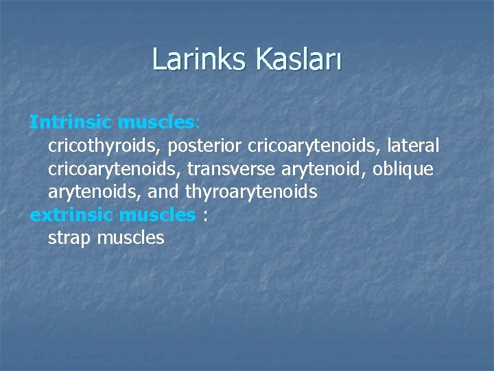 Larinks Kasları Intrinsic muscles: cricothyroids, posterior cricoarytenoids, lateral cricoarytenoids, transverse arytenoid, oblique arytenoids, and