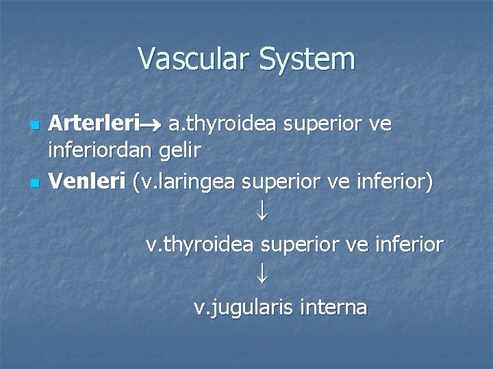 Vascular System n n Arterleri a. thyroidea superior ve inferiordan gelir Venleri (v. laringea