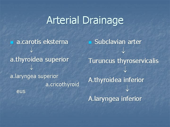 Arterial Drainage n a. carotis eksterna a. thyroidea superior a. laryngea superior a. cricothyroid