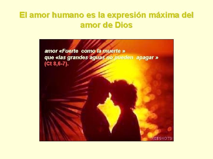 El amor humano es la expresión máxima del amor de Dios amor «Fuerte como