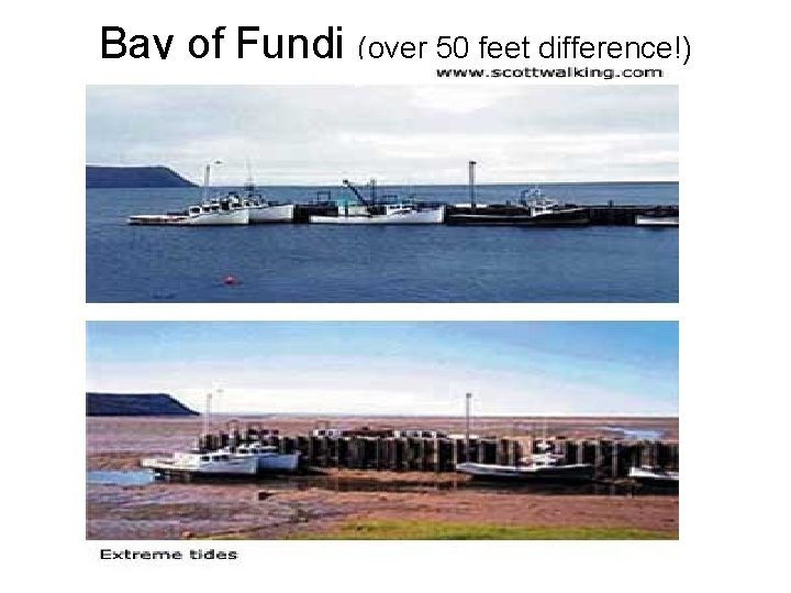 Bay of Fundi (over 50 feet difference!) 