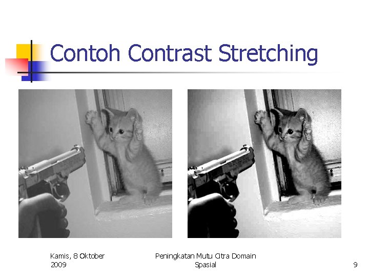 Contoh Contrast Stretching Kamis, 8 Oktober 2009 Peningkatan Mutu Citra Domain Spasial 9 