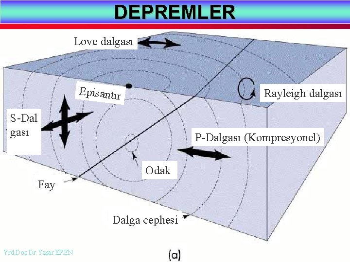 DEPREMLER Love dalgası Episantır Rayleigh dalgası S-Dal gası P-Dalgası (Kompresyonel) Odak Fay Dalga cephesi