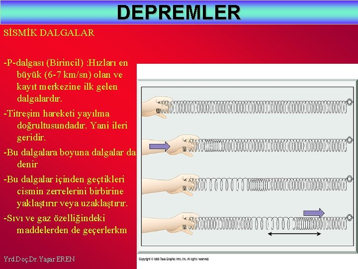 DEPREMLER SİSMİK DALGALAR -P-dalgası (Birincil) : Hızları en büyük (6 -7 km/sn) olan ve