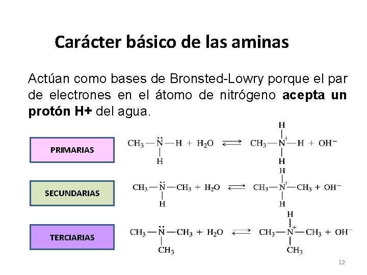 Carácter básico de las aminas Actúan como bases de Bronsted-Lowry porque el par de