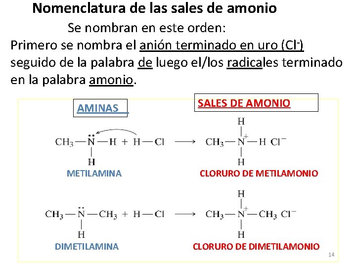 Nomenclatura de las sales de amonio Se nombran en este orden: Primero se nombra