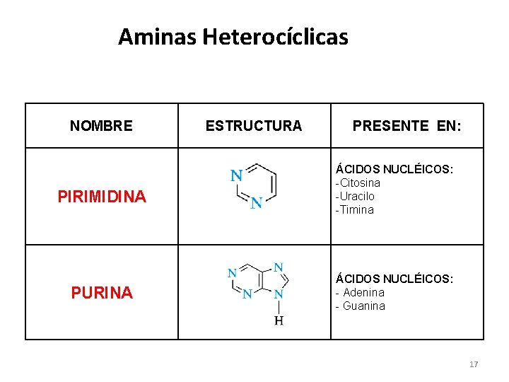 Aminas Heterocíclicas NOMBRE PIRIMIDINA PURINA ESTRUCTURA PRESENTE EN: ÁCIDOS NUCLÉICOS: -Citosina -Uracilo -Timina ÁCIDOS