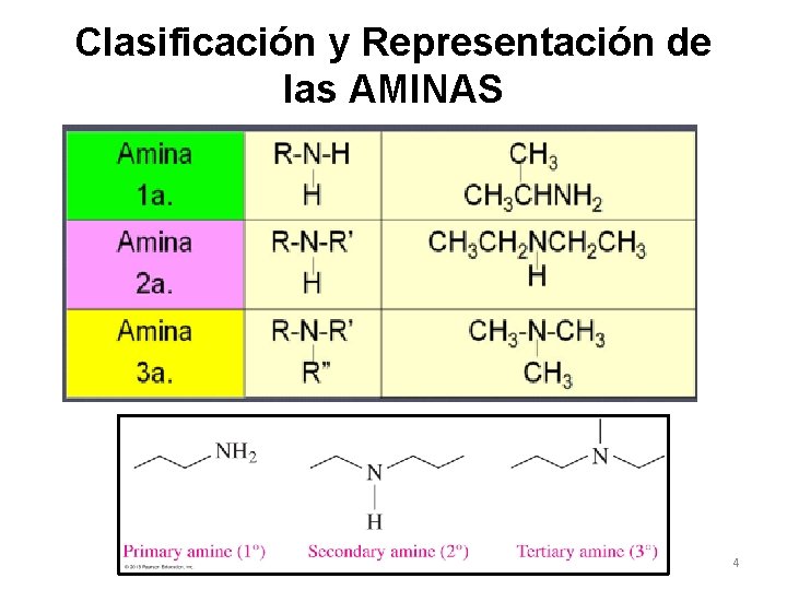 Clasificación y Representación de las AMINAS Se dividen en 3 clases según el número