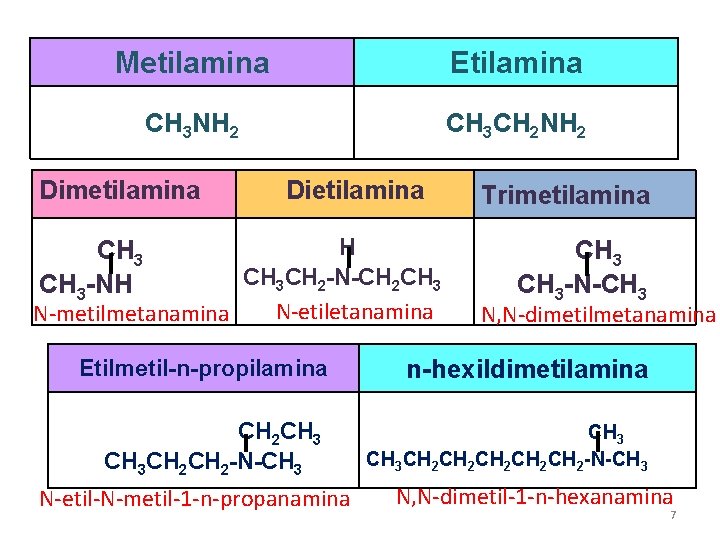 Metilamina Etilamina CH 3 NH 2 CH 3 CH 2 NH 2 Dimetilamina Dietilamina