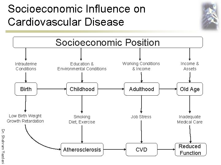 Socioeconomic Influence on Cardiovascular Disease Socioeconomic Position Dr. Shahram Yazdani Intrauterine Conditions Education &