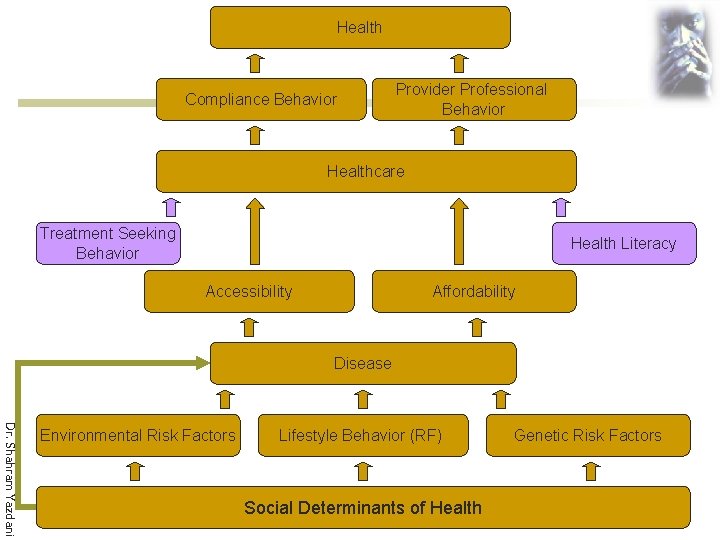 Health Compliance Behavior Provider Professional Behavior Healthcare Treatment Seeking Behavior Health Literacy Accessibility Affordability