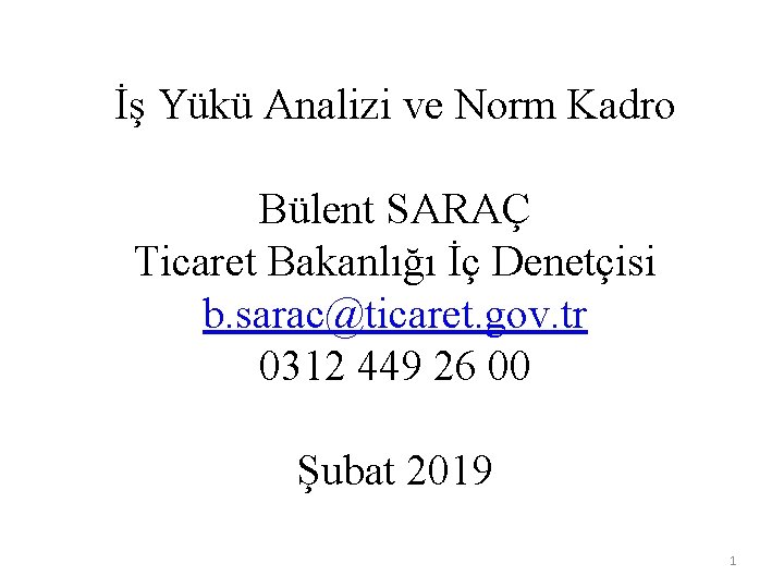 İş Yükü Analizi ve Norm Kadro Bülent SARAÇ Ticaret Bakanlığı İç Denetçisi b. sarac@ticaret.