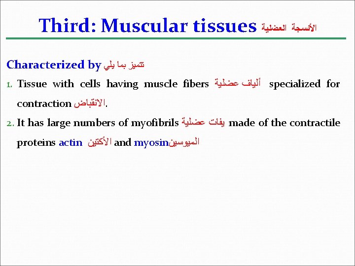 Third: Muscular tissues ﺍﻷﻨﺴﺠﺔ ﺍﻟﻌﻀﻠﻴﺔ Characterized by ﺗﺘﻤﻴﺰ ﺑﻤﺎ ﻳﻠﻲ 1. Tissue with cells