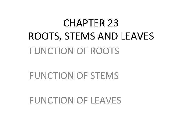 CHAPTER 23 ROOTS, STEMS AND LEAVES FUNCTION OF ROOTS FUNCTION OF STEMS FUNCTION OF