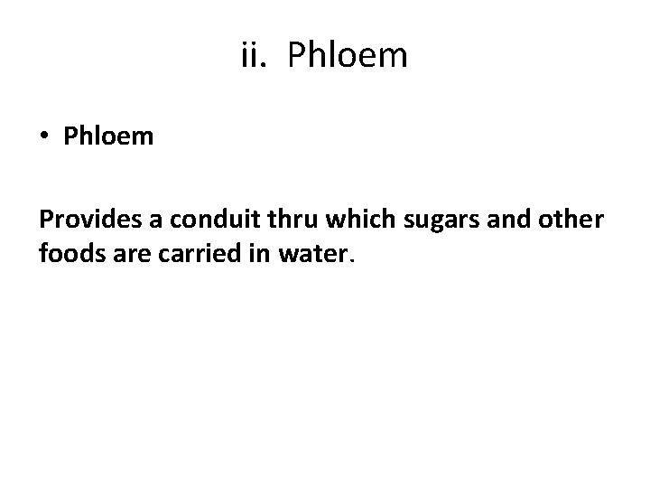 ii. Phloem • Phloem Provides a conduit thru which sugars and other foods are