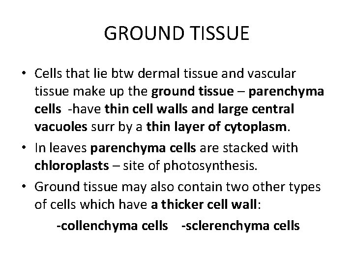 GROUND TISSUE • Cells that lie btw dermal tissue and vascular tissue make up