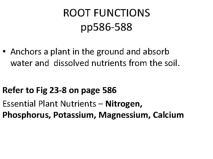 ROOT FUNCTIONS pp 586 -588 • Anchors a plant in the ground absorb water