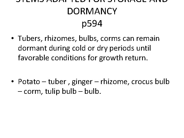 STEMS ADAPTED FOR STORAGE AND DORMANCY p 594 • Tubers, rhizomes, bulbs, corms can